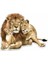 Aslan Ailesi Araba Sticker Yapıştrması 18 cm 1