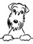 Schnauzer Köpek Araba Sticker Yapıştırması 20 cm 1