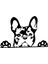 Paws Up Fransız Bulldog Frenchie Siyah Renk Sticker 20 cm 1