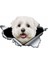Sevimli Maltese Cinsi Köpek Araba Sticker Yapıştırması 20 cm 1