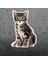 Sevimli Yaramaz Kedi Araba Sticker Etiket 18 cm M4 1