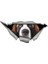 Saint Bernard Köpek Yırtık Araba Sticker Etiket 20 cm 1