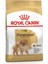 Bhn Pomeranıan Adult Yetişkin Köpek Maması 3 kg 1