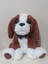55 cm Sady Dogy Köpek 1