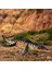 Deniz Dinozor Rakamlar Prehistorik Hayvan Derin Deniz Canavar Partisi Favor Liopleurodon 4