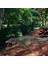Deniz Dinozor Rakamlar Prehistorik Hayvan Derin Deniz Canavar Parti Favor Kronosaurus (Yurt Dışından) 4