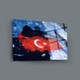 Seçili Renk Renkli