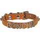  Renk Camel