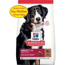 Hill's Büyük Irk Kuzu Etli Yetişkin Köpek Maması 12 kg (+2 kg Hediyeli)