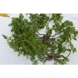 Ortaca El Ele Kadın Kooperatifi Karışık Ege Otları (Hindiba, Hardal, Labada, İğnelik Otu ) 2 kg