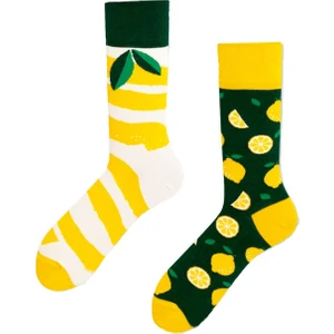 Carnaval Socks Yaprak ve Limon Desenli Renkli Çorap