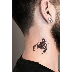 BP Tattoo Geçici Akrep Dövmesi 5 Parça Unisex Tattoo