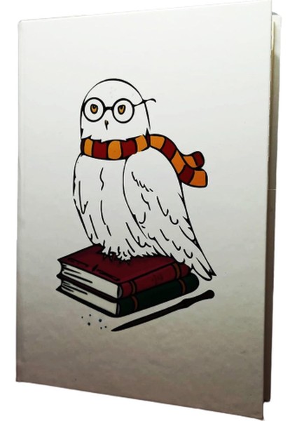 Beyaz Baykuş Tasarım 160 Sayfa Çizgisiz Defter