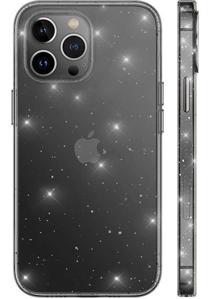 Apple iPhone 12 Pro Max Kılıf Vixy Transparan Simli Görünüm Antrasit