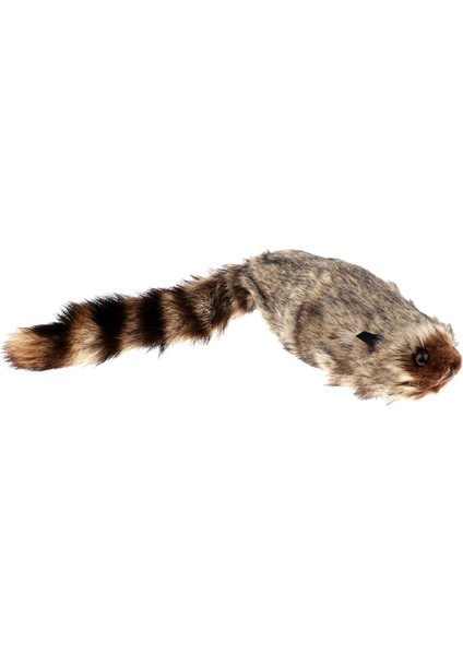 Gerçekçi Rakun Sihirli Hileler Sahne Yenilik Prop Kostüm Aksesuar