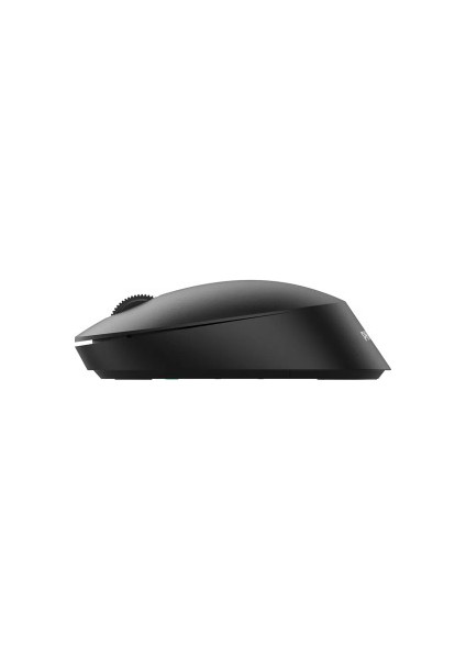 Bluetooth+Wireless Mouse SPK7407B/00