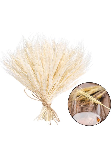 100 Adet Gerçek Kurutulmuş Buğday Kulak Çiçek Doğal Çim Düğün Parti Dekorasyon Bej (Yurt Dışından) modelleri