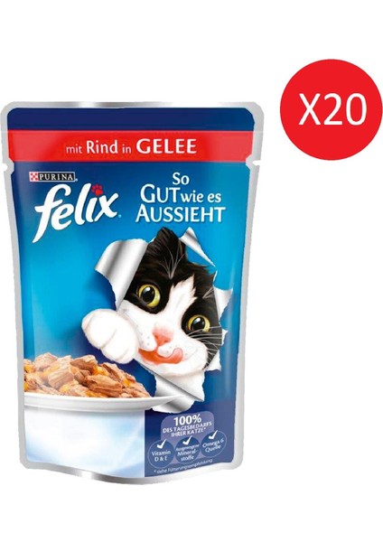 Felıx Pouch Sıgır Etlı 100GR X20