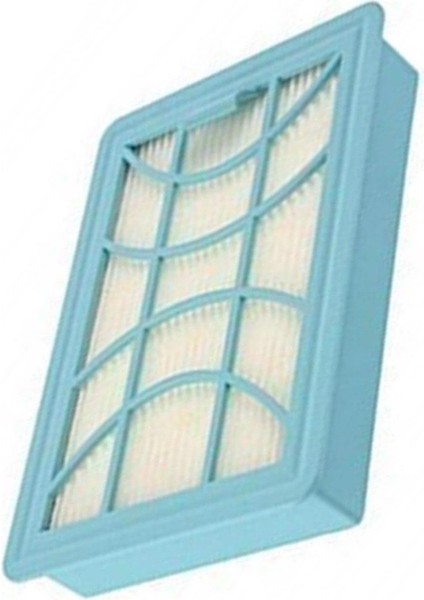 Philips Fc 9750 9728 9751 Powerpro Max Süpürge Çıkış Hepa Filtresi