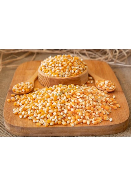 Mısır Popcorn 1 kg fiyatları