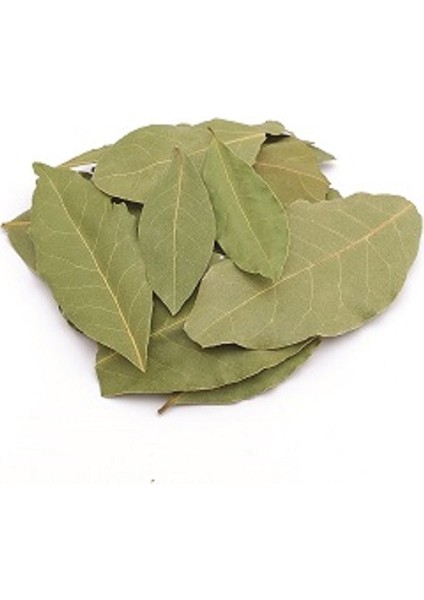 Defne Yaprağı 50 gr