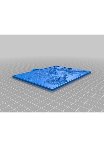 HERMEROCALLIS_13LAYER_0P2 Plastik Aparat