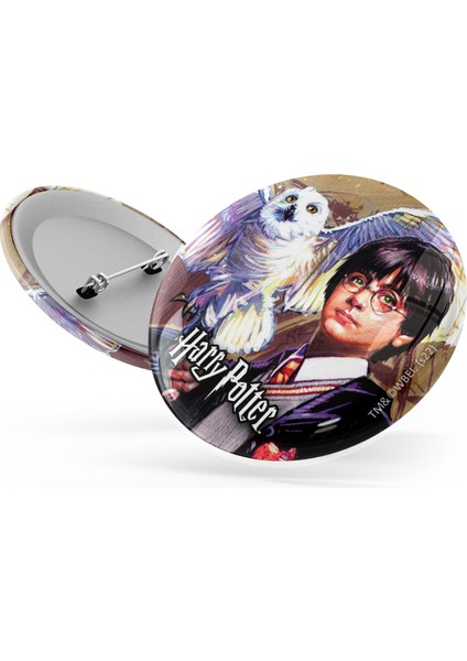 Rozet 4lü Set Harry Potter Hogwarts Binası Warner Bros. Lisanslı