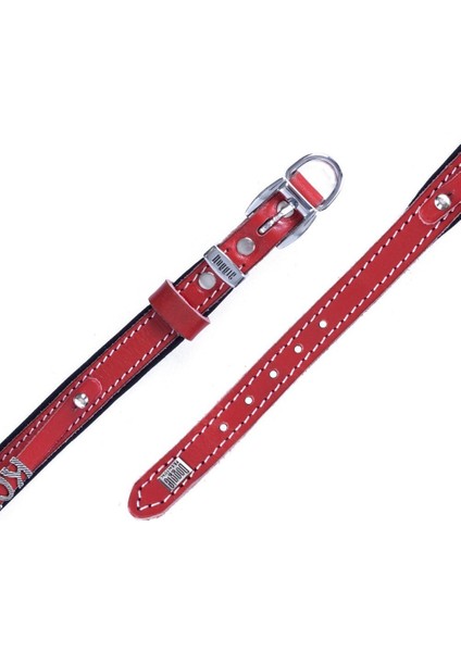 Isimlikli Deri Boyun Tasması M 2X35-40CM Kırmızı indirimleri