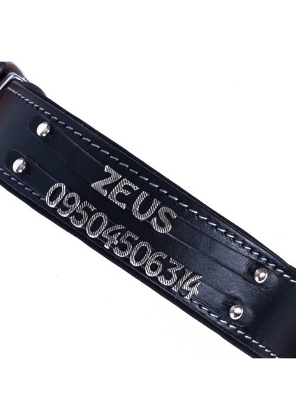 Isimlikli Deri Boyun Tasması L 3.5X52-60CM Siyah fiyatları