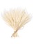100 Adet Gerçek Kurutulmuş Buğday Kulak Çiçek Doğal Çim Düğün Parti Dekorasyon Bej (Yurt Dışından) 1