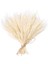 100 Adet Gerçek Kurutulmuş Buğday Kulak Çiçek Doğal Çim Düğün Parti Dekorasyon Bej (Yurt Dışından) 2