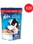 Felıx Pouch Sıgır Etlı 100GR X20 1