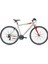 Sportive 321 44CM 1