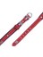 Isimlikli Deri Boyun Tasması M 2X35-40CM Kırmızı 5