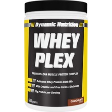 Dynamic Nutrition Dynamic Whey Plex Protein Tozu 500 gr