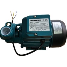 Momentum PKM60 Sürtme Fanlı Pompa