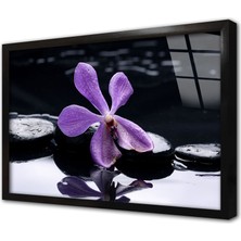 Tablosan Spa Taşları ve Orkide Çerçeveli Cam Tablo