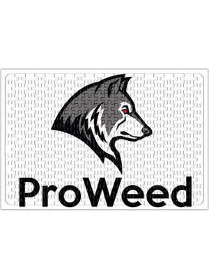 Baskı Dükkanı Proweed 2 Connect Puzzle 240 Parça Yapboz