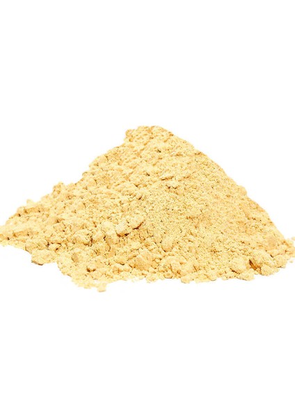 Zencefil Toz 100GR Pkt fiyatları