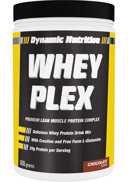 Dynamic Whey Plex Protein Tozu 500 gr