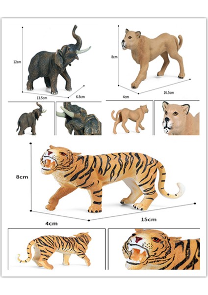 6 Adet Vahşi Hayvan Oyuncak Modeli Seti (Yurt Dışından)