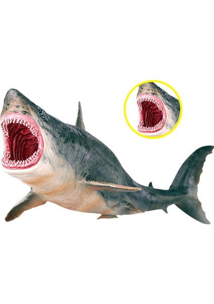 Simüle Megalodon Model Oyuncak (Yurt Dışından)