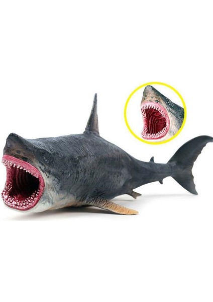 Simüle Megalodon Model Oyuncak (Yurt Dışından)