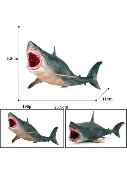 Simüle Megalodon Model Oyuncak (Yurt Dışından)