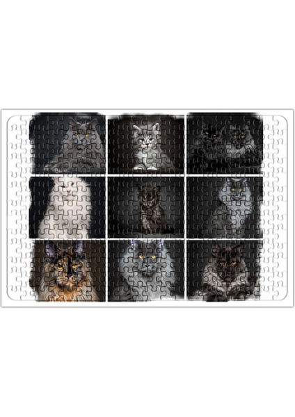 Cats Collection One Puzzle 240 Parça Yapboz