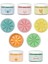 Play Dough Oyun Hamuru 5'li Pastel Renk Seti 5X150 gr 1