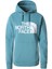 Standard Hd Kadın Sweatshirt - NF0A4M7C 1