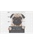Bad Puggy Pug Köpek Puzzle 240 Parça Yapboz 1