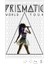 Katy Perry Prismatic World Tour Puzzle 240 Parça Yapboz 1