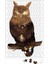 Owl Sunset Baykuş Puzzle 240 Parça Yapboz 1